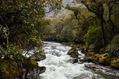 Fiordland National Park